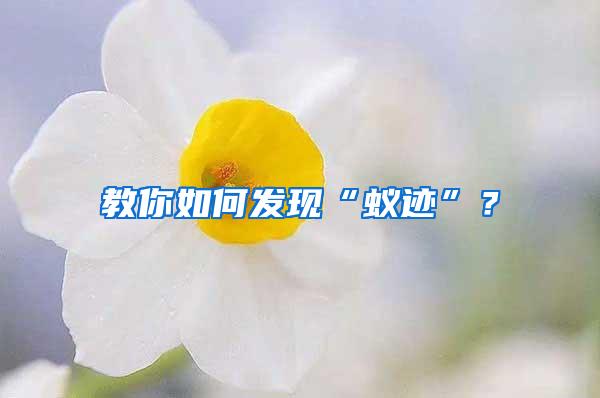 教你如何發(fā)現(xiàn)“蟻跡”?