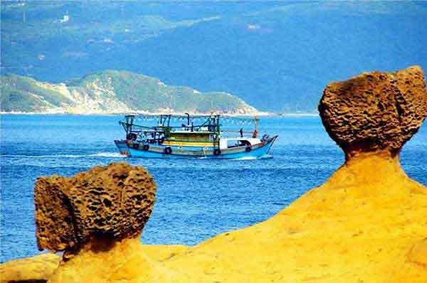 深圳專業滅臭蟲公司上門殺臭蟲服務多少錢,怎么收費的?