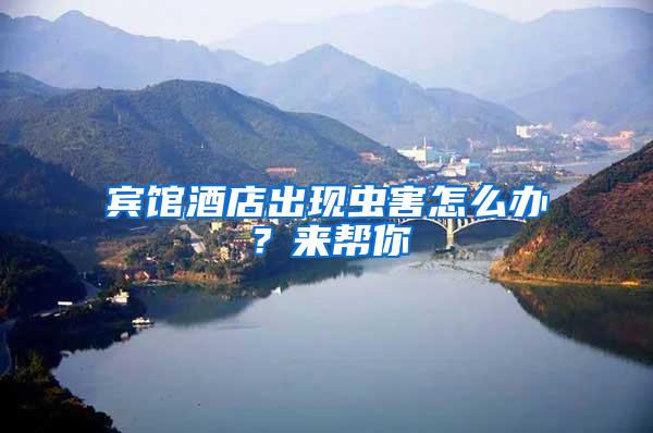 賓館酒店出現蟲害怎么辦?來幫你