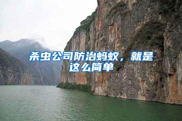 殺蟲公司防治螞蟻,就是這么簡單