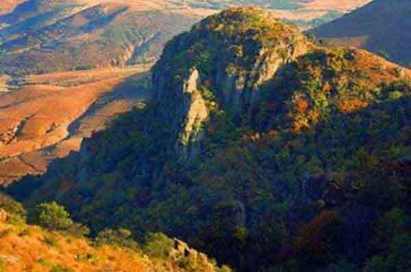 深圳專業殺臭蟲公司某工廠宿舍殺臭蟲