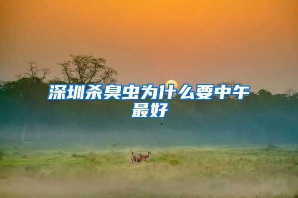 深圳殺臭蟲為什么要中午最好