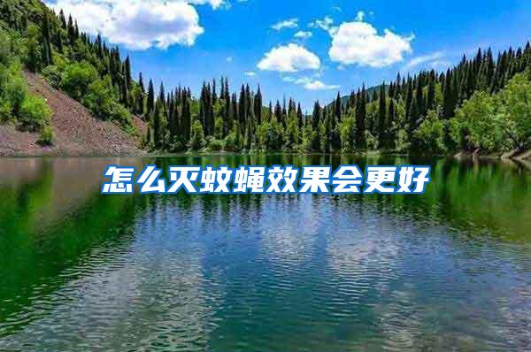 怎么滅蚊蠅效果會(huì)更好