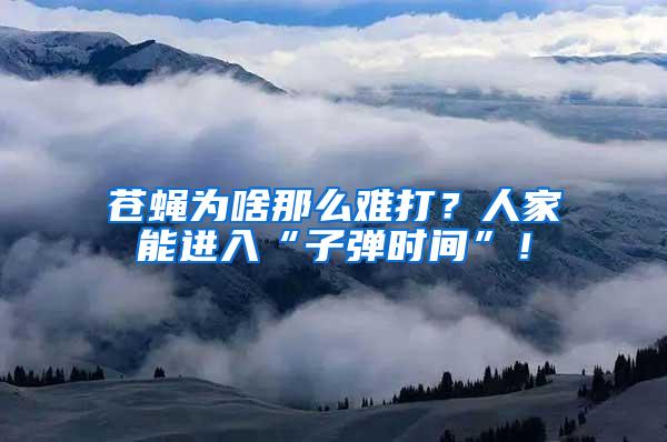蒼蠅為啥那么難打?人家能進入“子彈時間”!