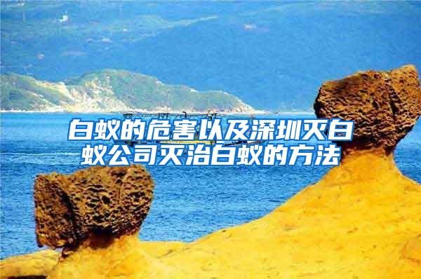 白蟻的危害以及深圳滅白蟻公司滅治白蟻的方法