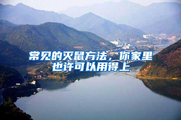 常見(jiàn)的滅鼠方法,你家里也許可以用得上