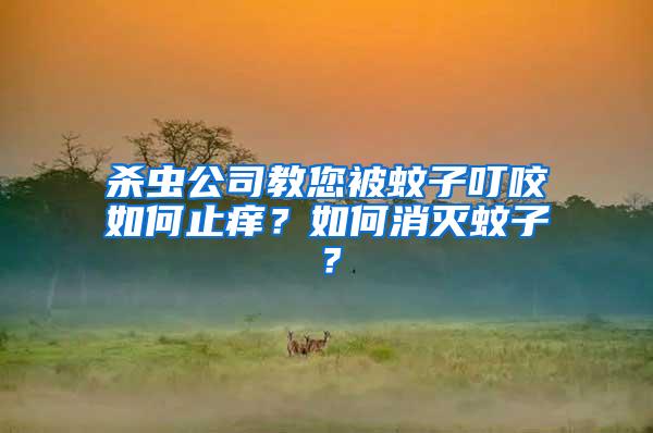 殺蟲公司教您被蚊子叮咬如何止癢?如何消滅蚊子?
