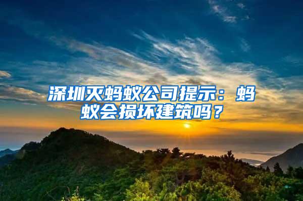 深圳滅螞蟻公司提示:螞蟻會(huì)損壞建筑嗎?