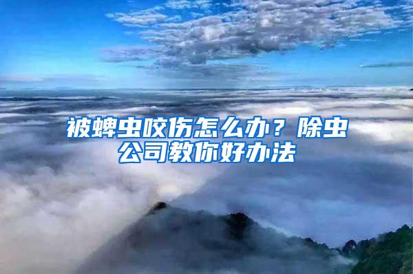 被蜱蟲咬傷怎么辦?除蟲公司教你好辦法