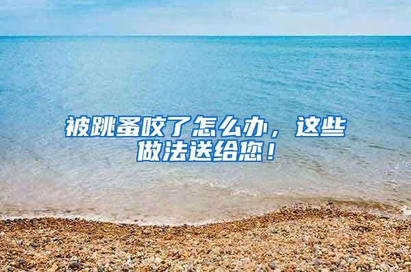 被跳蚤咬了怎么辦,這些做法送給您!