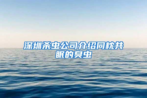 深圳殺蟲公司介紹同枕共眠的臭蟲