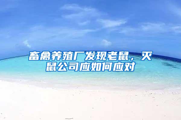 畜禽養殖廠發現老鼠,滅鼠公司應如何應對