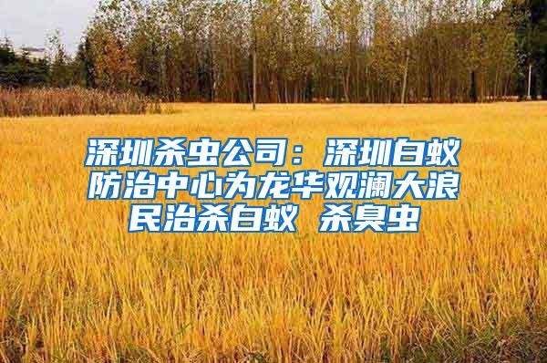 深圳殺蟲公司:深圳白蟻防治中心為龍華觀瀾大浪民治殺白蟻 殺臭蟲