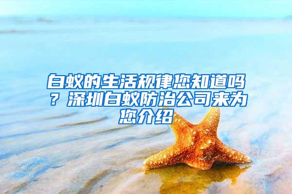 白蟻的生活規律您知道嗎?深圳白蟻防治公司來為您介紹
