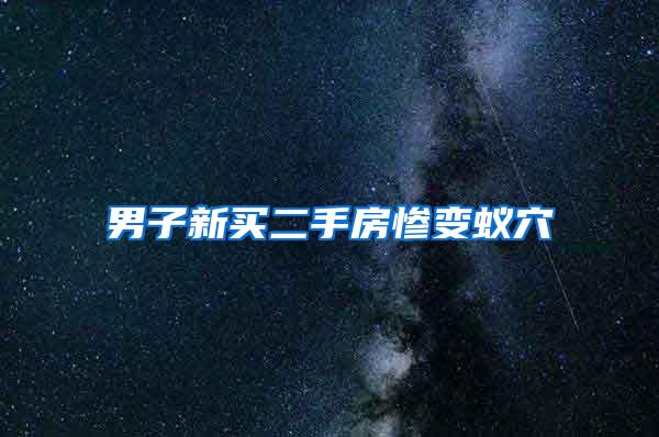 男子新買二手房慘變蟻穴