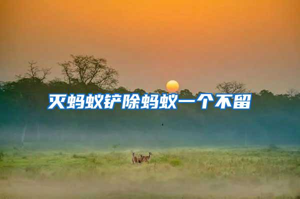 滅螞蟻鏟除螞蟻一個(gè)不留