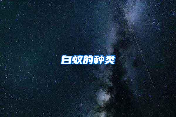 白蟻的種類