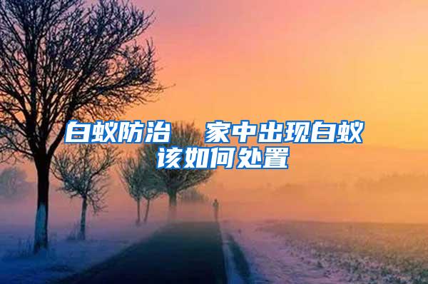 白蟻防治 家中出現白蟻 該如何處置