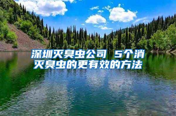 深圳滅臭蟲公司 5個消滅臭蟲的更有效的方法
