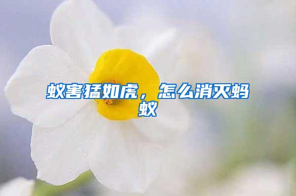 蟻害猛如虎，怎么消滅螞蟻