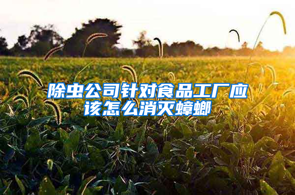 除蟲公司針對食品工廠應該怎么消滅蟑螂