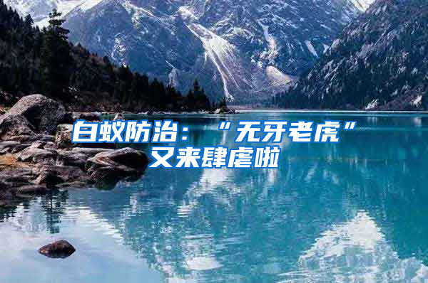 白蟻防治:“無(wú)牙老虎”又來(lái)肆虐啦