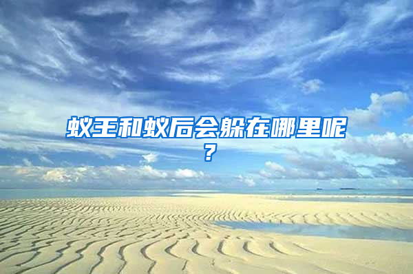 蟻王和蟻后會躲在哪里呢?