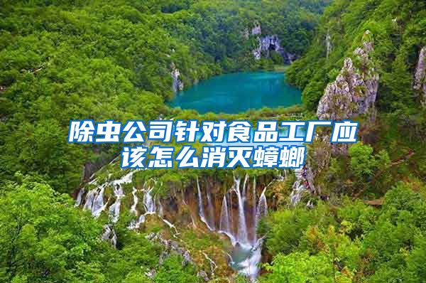 除蟲公司針對食品工廠應該怎么消滅蟑螂