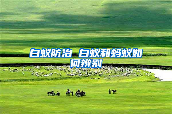 白蟻防治 白蟻和螞蟻如何辨別