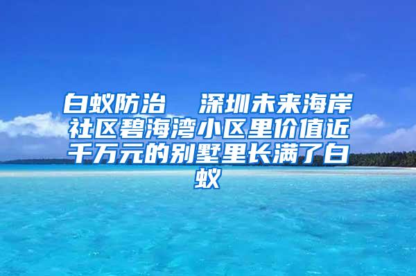 白蟻防治 深圳未來(lái)海岸社區(qū)碧海灣小區(qū)里價(jià)值近千萬(wàn)元的別墅里長(zhǎng)滿了白蟻