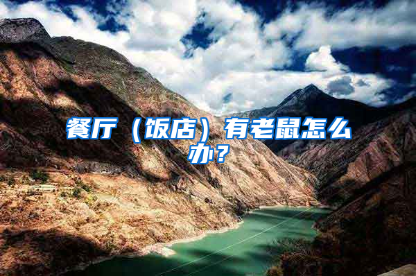 餐廳(飯店)有老鼠怎么辦?