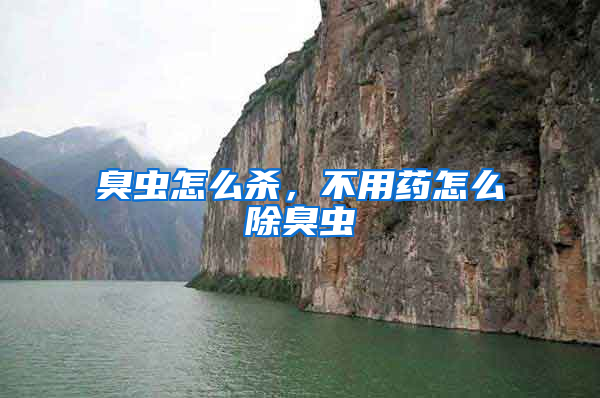 臭蟲怎么殺,不用藥怎么除臭蟲