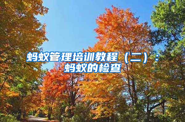螞蟻管理培訓教程(二):螞蟻的檢查