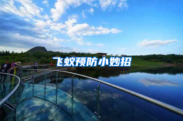 飛蟻預防小妙招