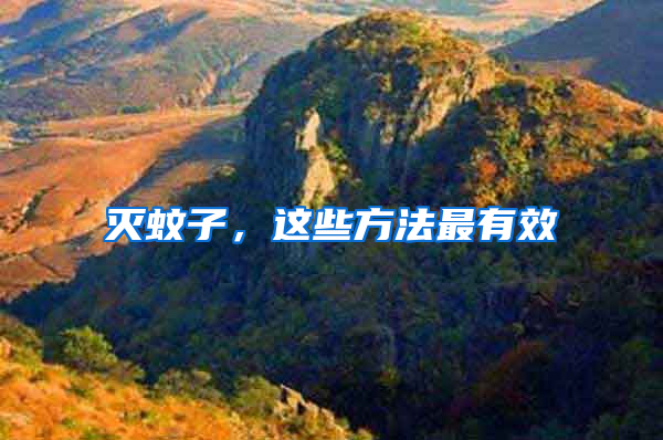 滅蚊子,這些方法最有效