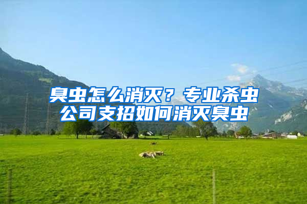 臭蟲怎么消滅?專業殺蟲公司支招如何消滅臭蟲