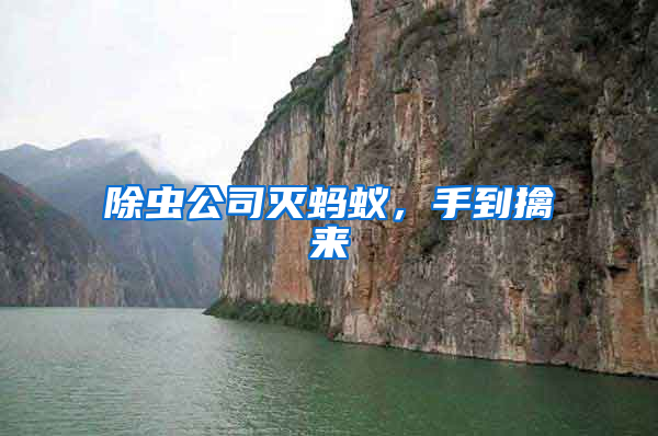 除蟲公司滅螞蟻,手到擒來