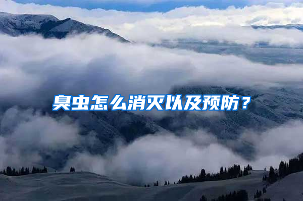 臭蟲怎么消滅以及預防?
