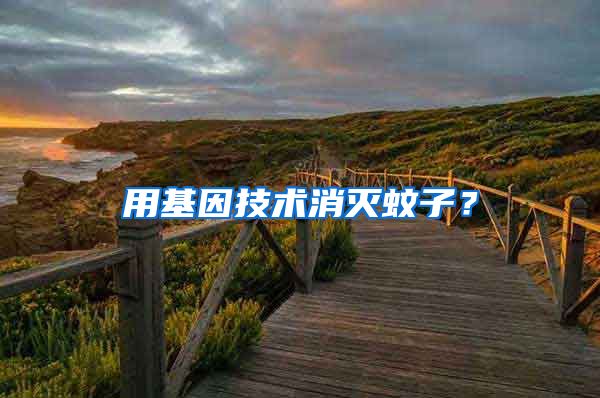 用基因技術(shù)消滅蚊子？